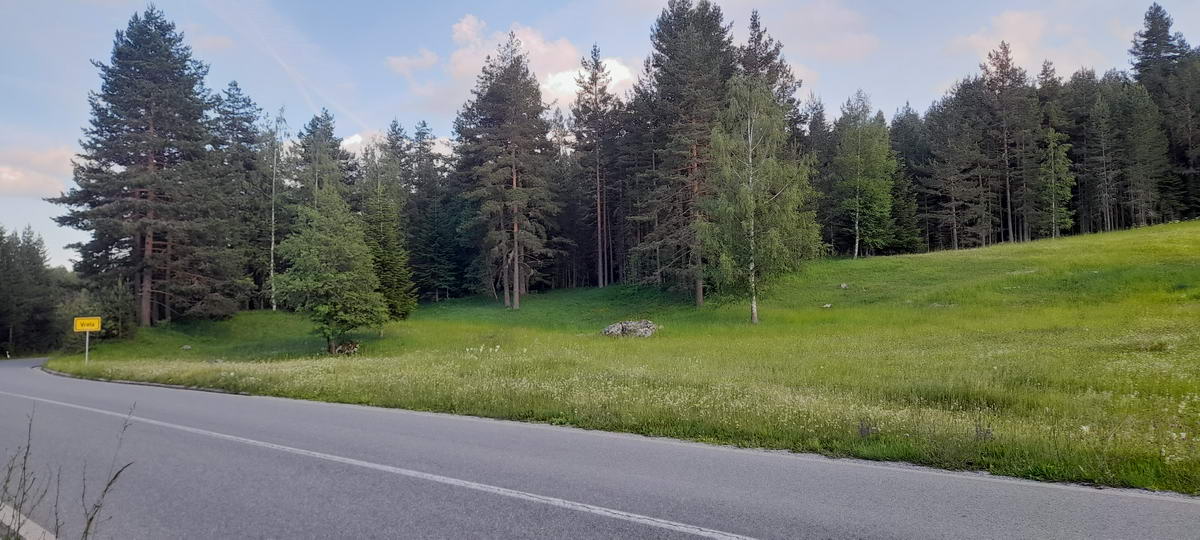 amforaproperty.com/Plac površine 10,354m2 pored same magistrale Zabljak-Pljevlja (7km od centra Zabljaka)